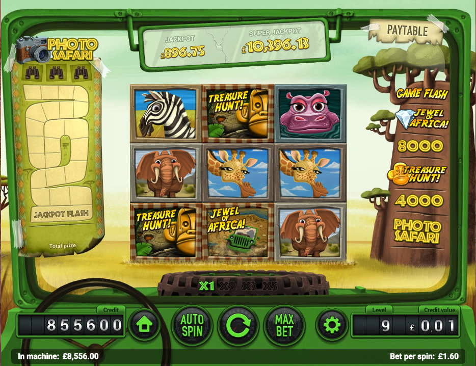 Casino guru free Safari Madness surebets
